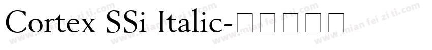 Cortex SSi Italic字体转换